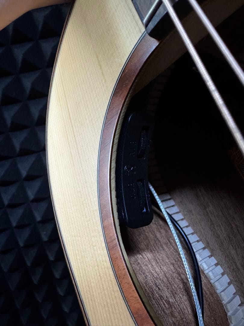 aNueNue L10E (エレアコモデル)