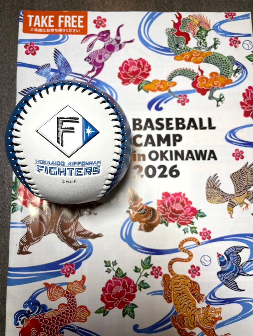 日本ハムファイターズ 伊藤大海 直筆サインボール 2026沖縄キャンプ