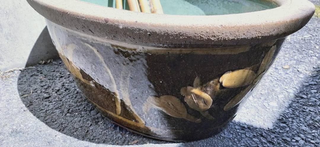 激レア　陶器　水鉢　水槽　亀　メダカ　庭　ガーデニング Y