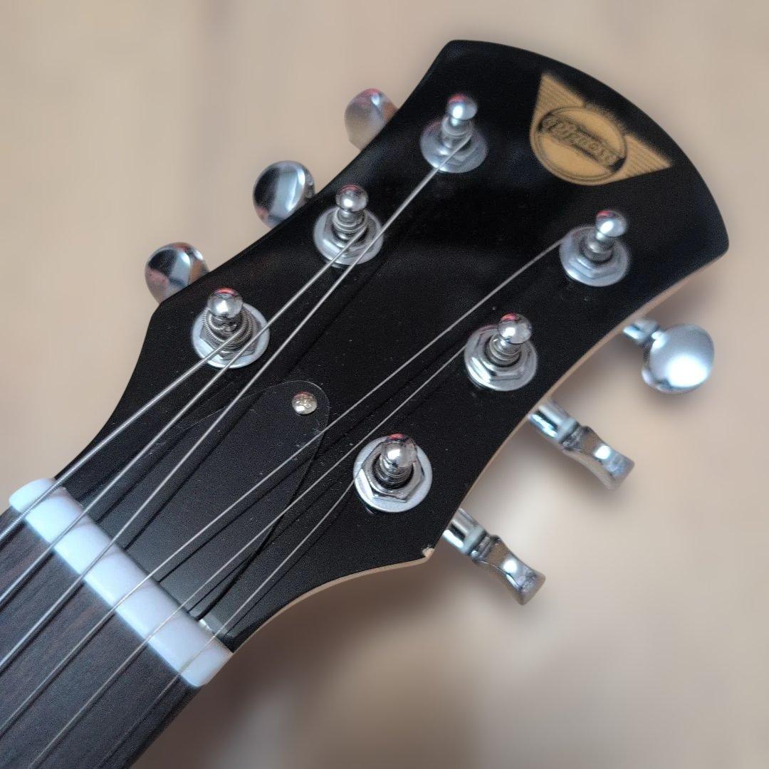 Pignose PGG-200 ピグノーズ アンプ内蔵 美品！