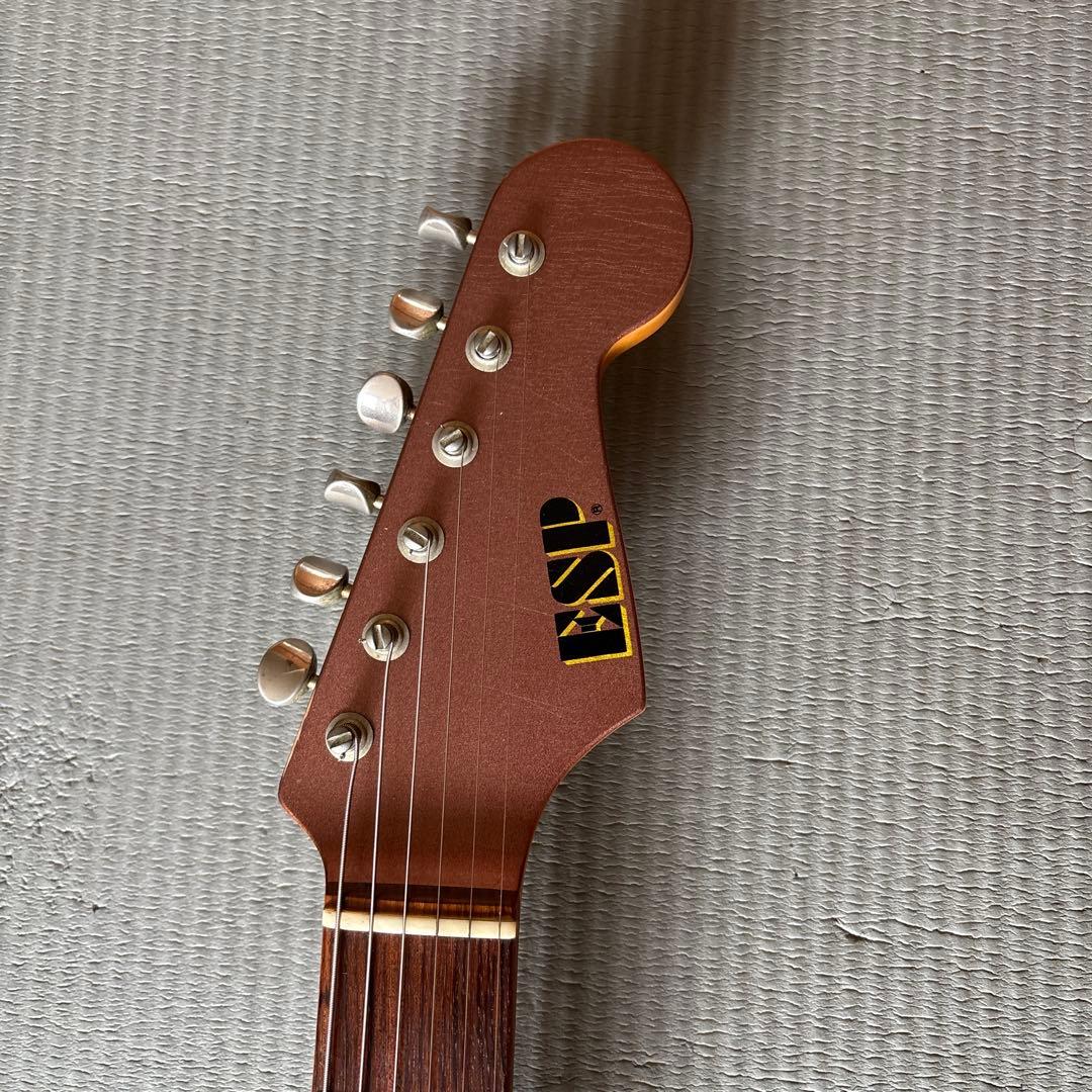 1980年代ESP カスタムオーダー