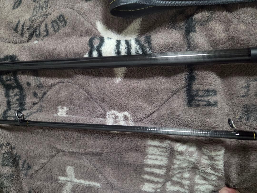 ロッド Daiwa 24LATEO 100MH