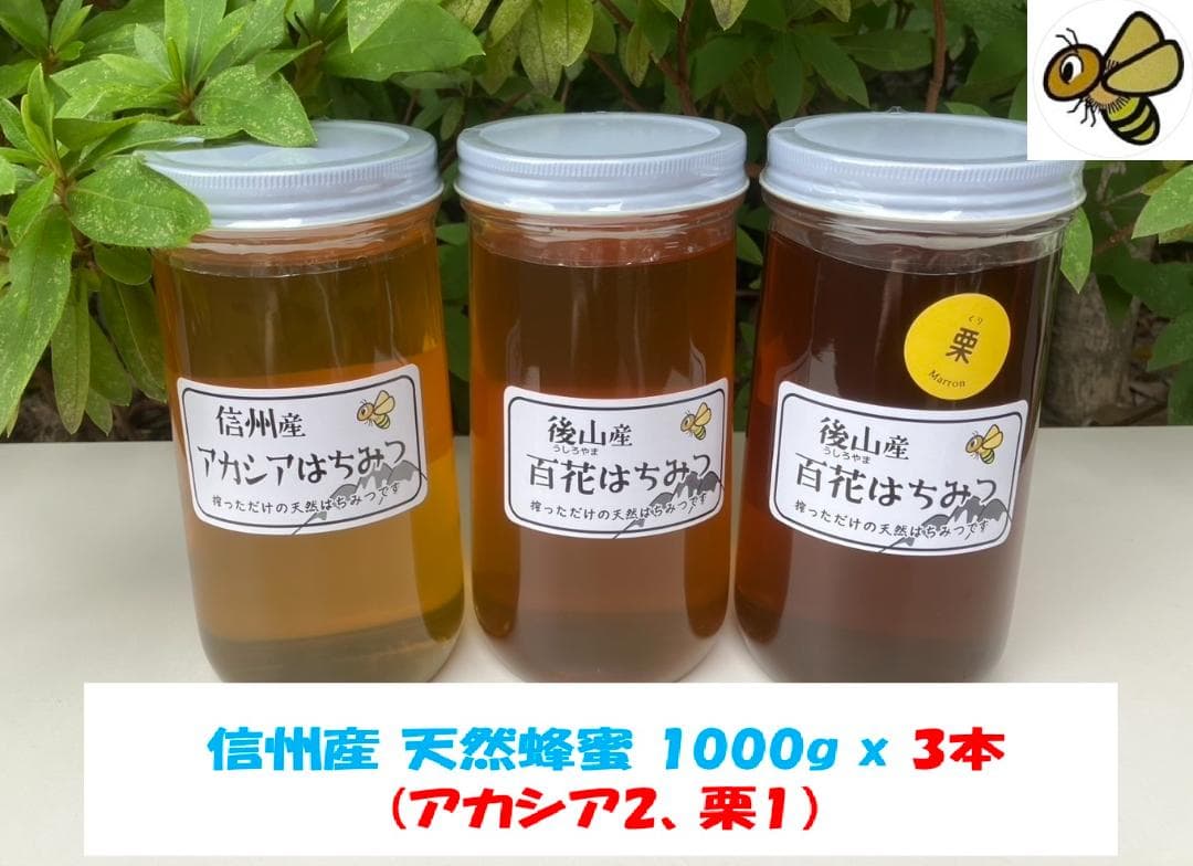 【きこちゃん】国産蜂蜜 1000g 3本 アカシア２ 栗蜜１ 信州産