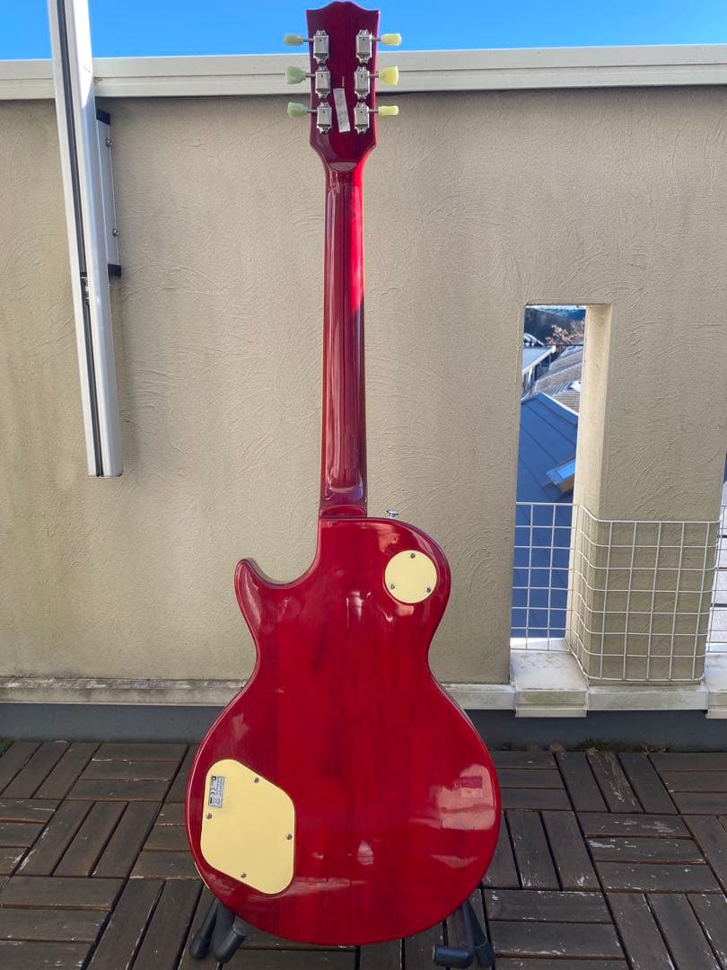 Grass Roots Limited Model (レスポールタイプ)