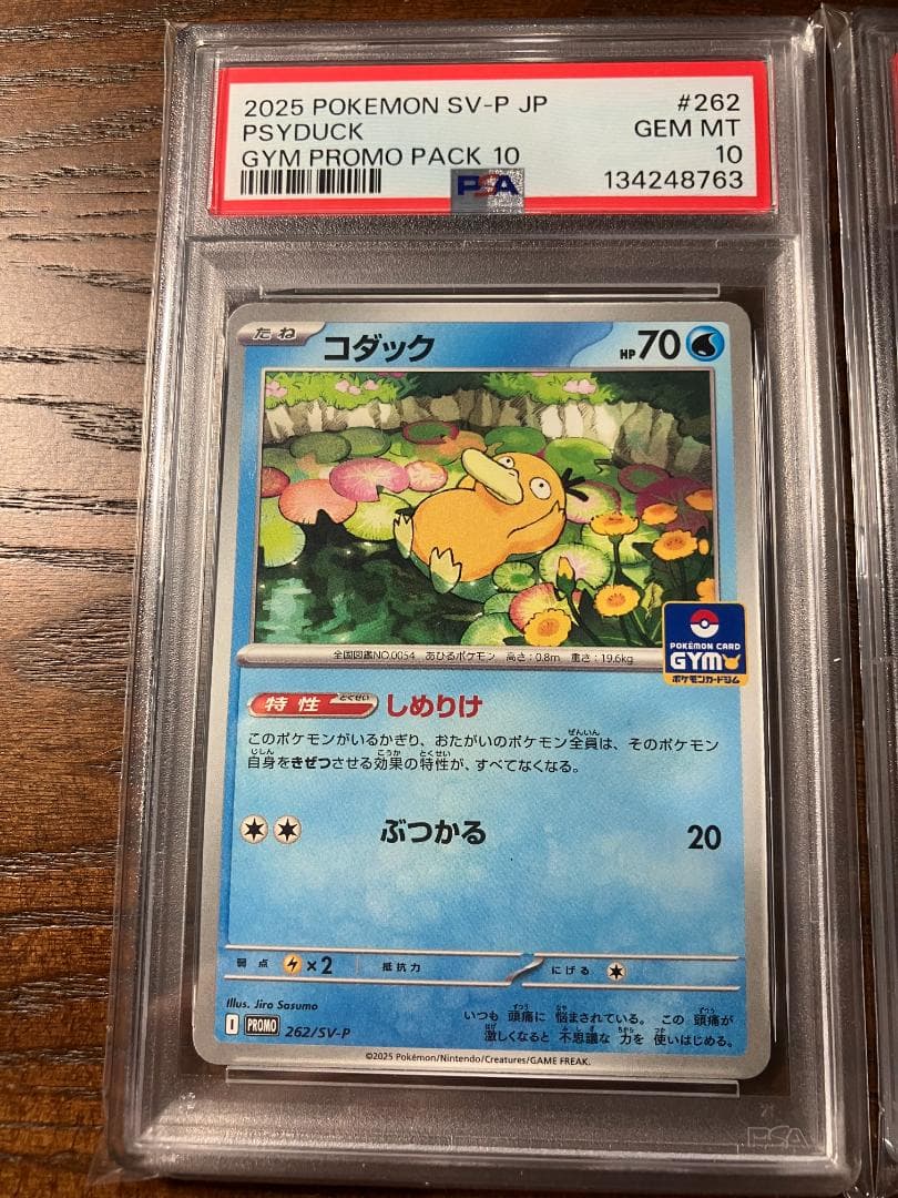 【PSA10】ポケモン5連番　コダック ジムプロモ しめりけ 262/SV-P