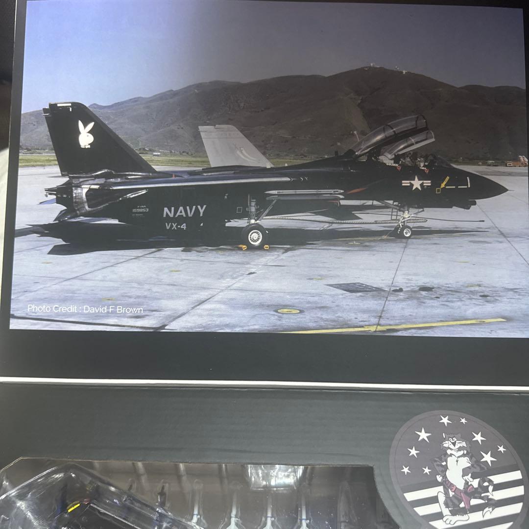 航空機・ヘリコプター CALIBREWINGS VX-4 BLACKBUNNY F-14A 1/72