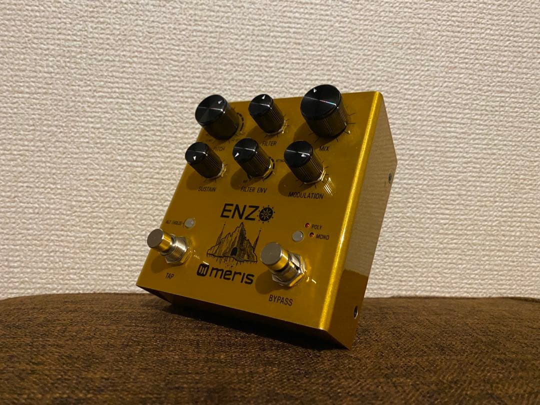 ギター meris ENZO