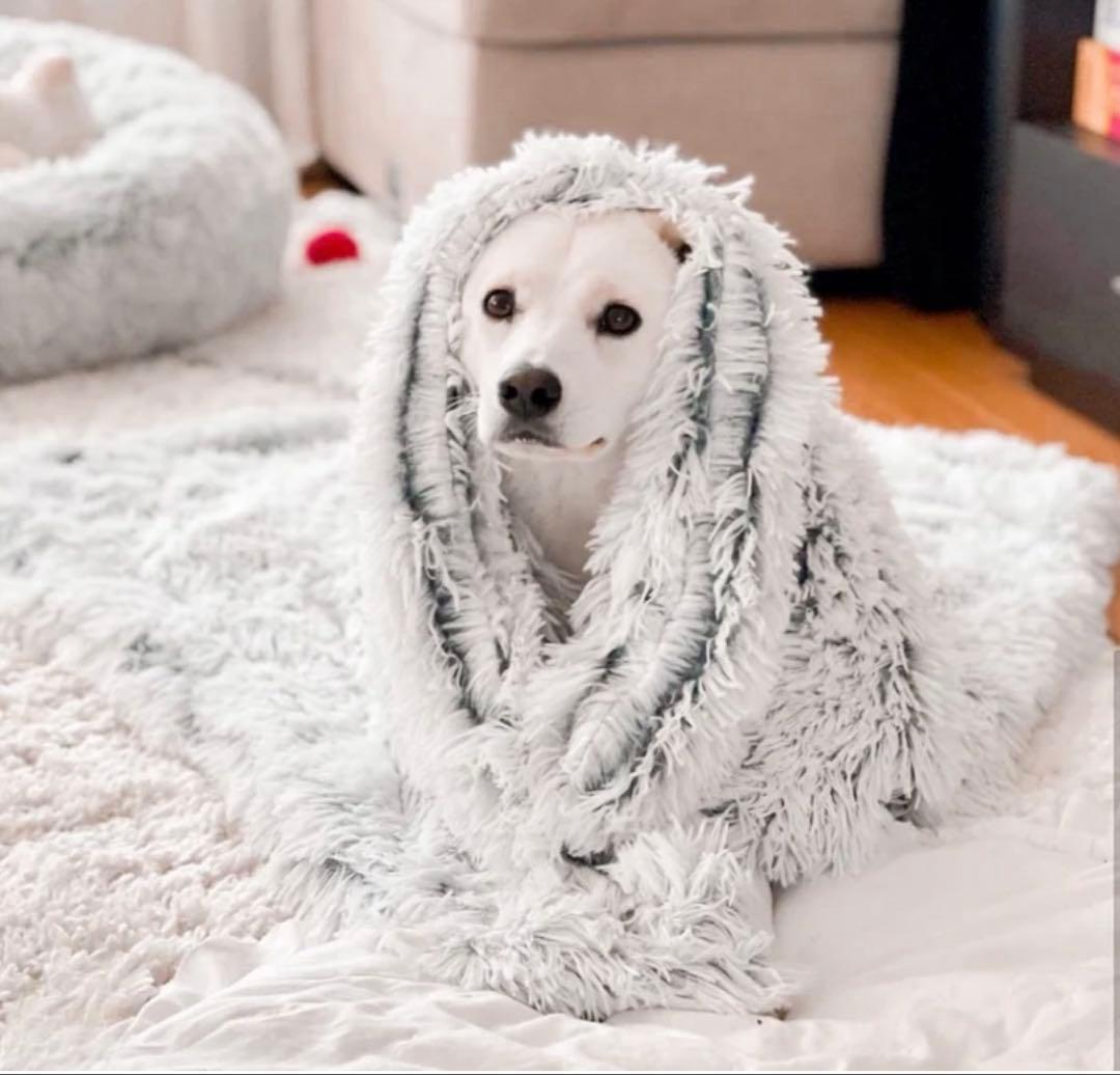 値下げ！！！HuggySleep癒しのクレートクッション、癒しのブランケット