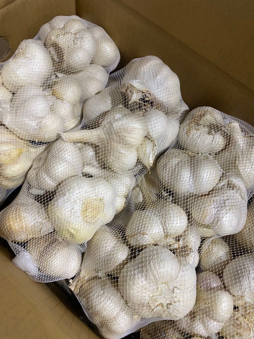 青森県にんにく10Kg ML 加工おすすめ