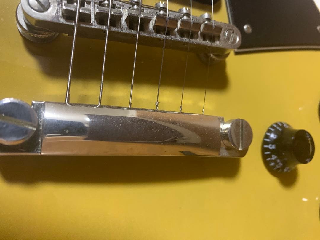 Epiphone Les Paul Special ケース 付