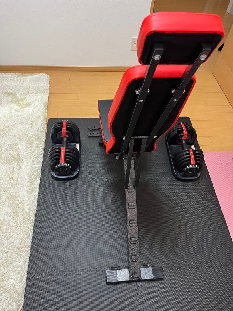 GOGOGUMP トレーニングベンチ 黒/赤 ダンベル、マット付き