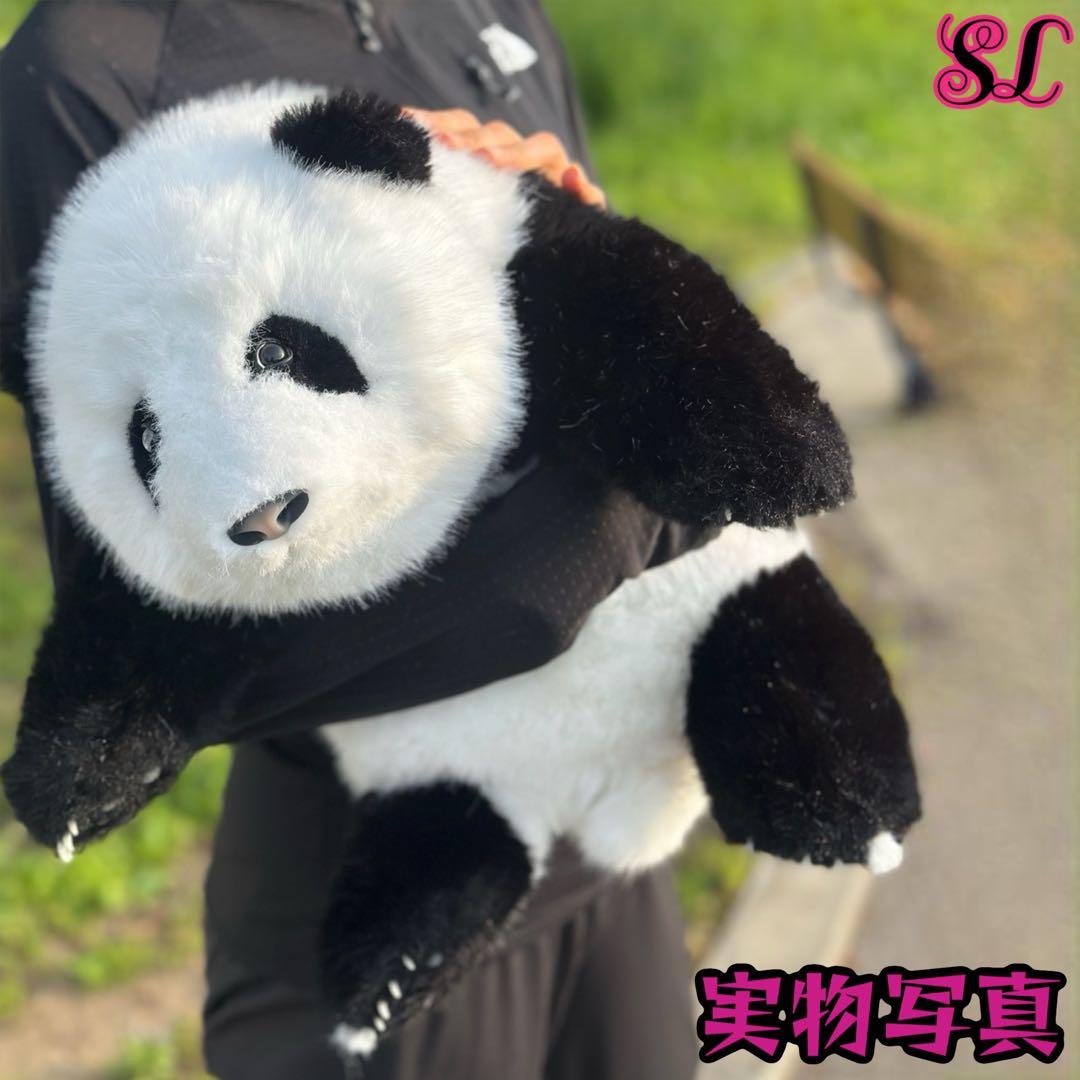 パンダ　リアルで癒される！5ヶ月齢パンダ ぬいぐるみ登場 ファファ まるで本物！