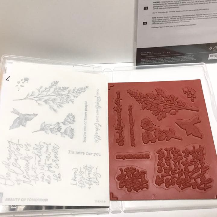 300【新品未使用】  スタンピンアップ    スタンプセット ダイ