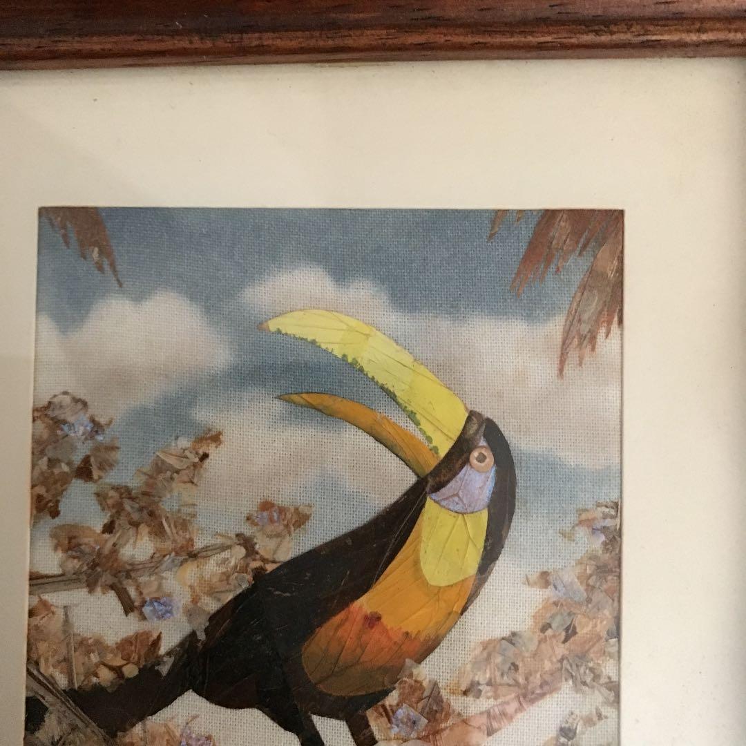 Shuya Chiba (千葉修也)  蝶画Toucan Bird (オオハシ)