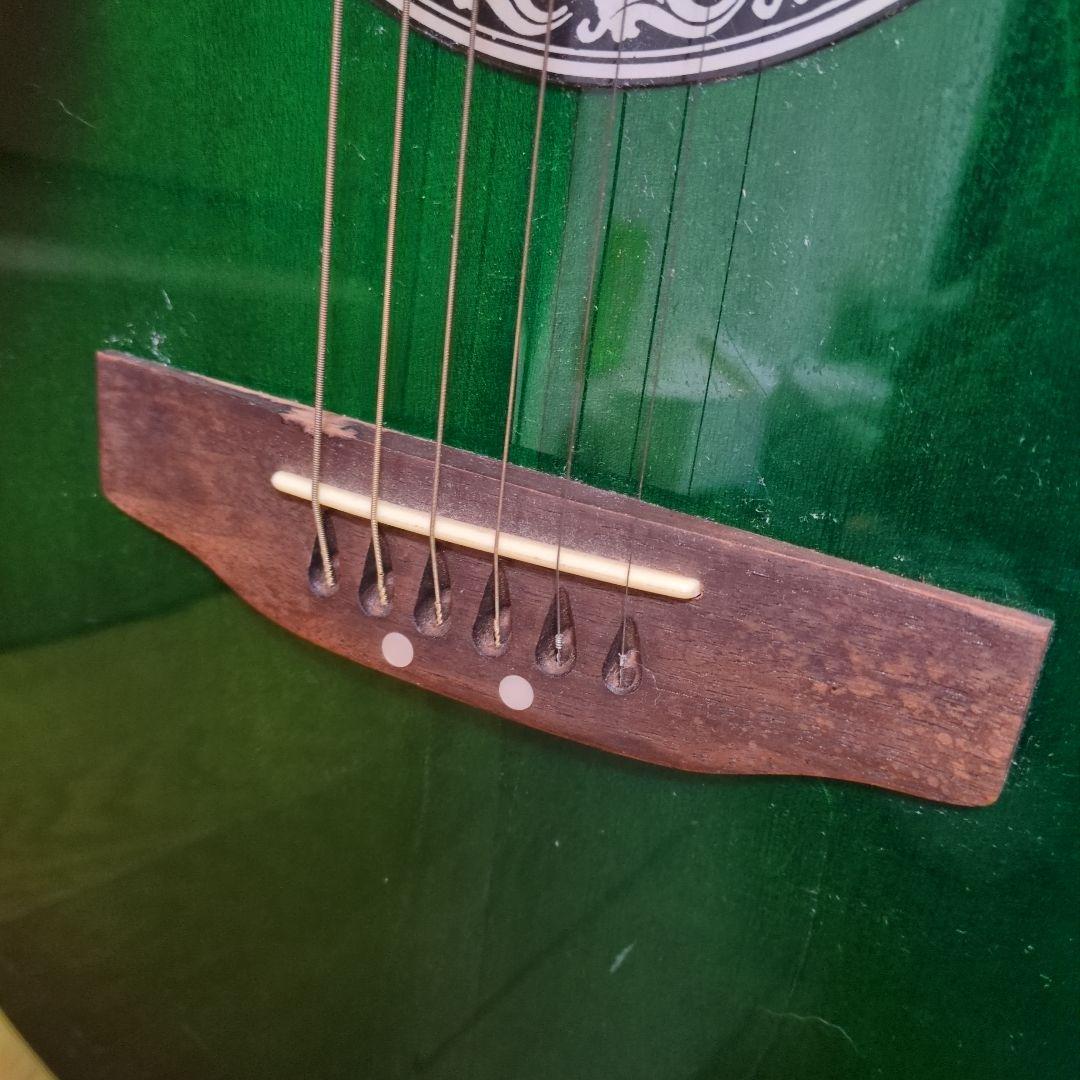 Pro martin ea350grs エレアコ ギター グリーン