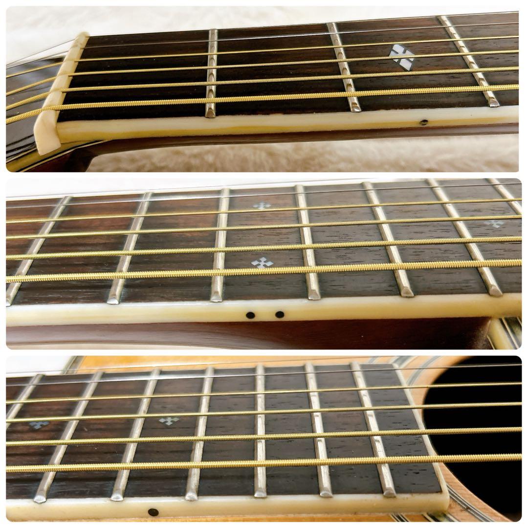 MORRIS TF W-50 ハカランダモデル