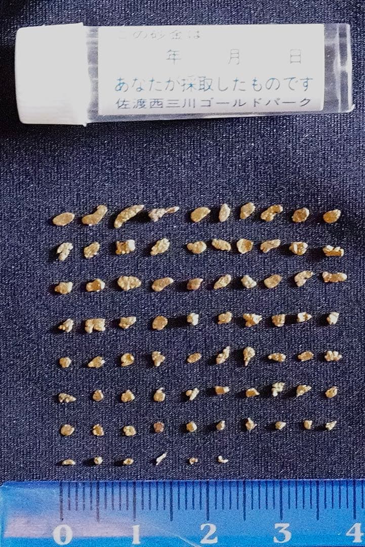 世界遺産 佐渡ヶ島 佐渡金山 砂金　76粒