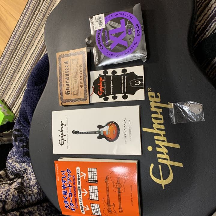 エピフォンカジノと専用ハードケース（鍵付き）