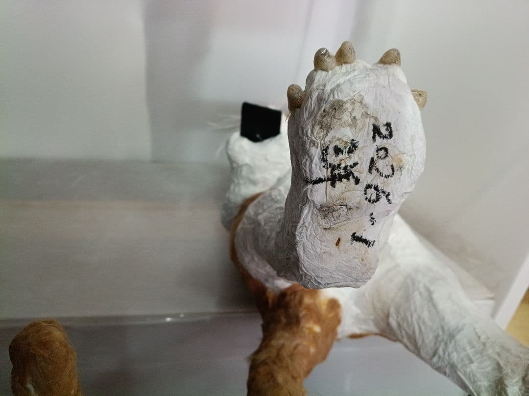 張り子作家　猫