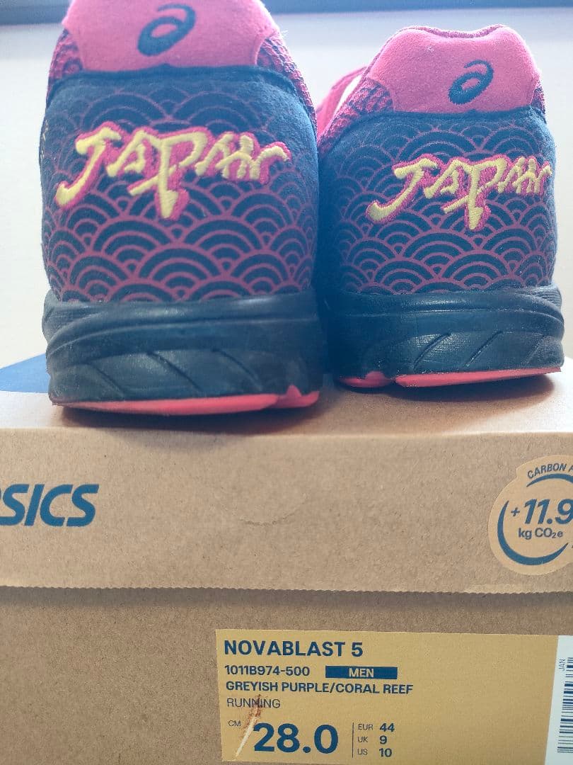 ASICS　TARTHERJAPAN28.0cmターサージャパン東京マラソン限定