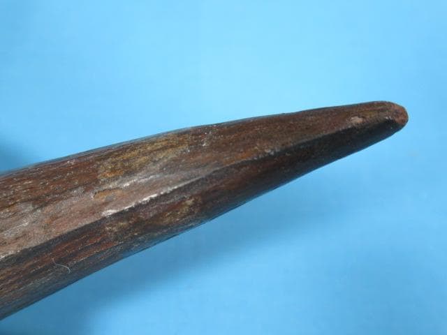 スピノサウルスの歯　86mm　恐竜　No.1155