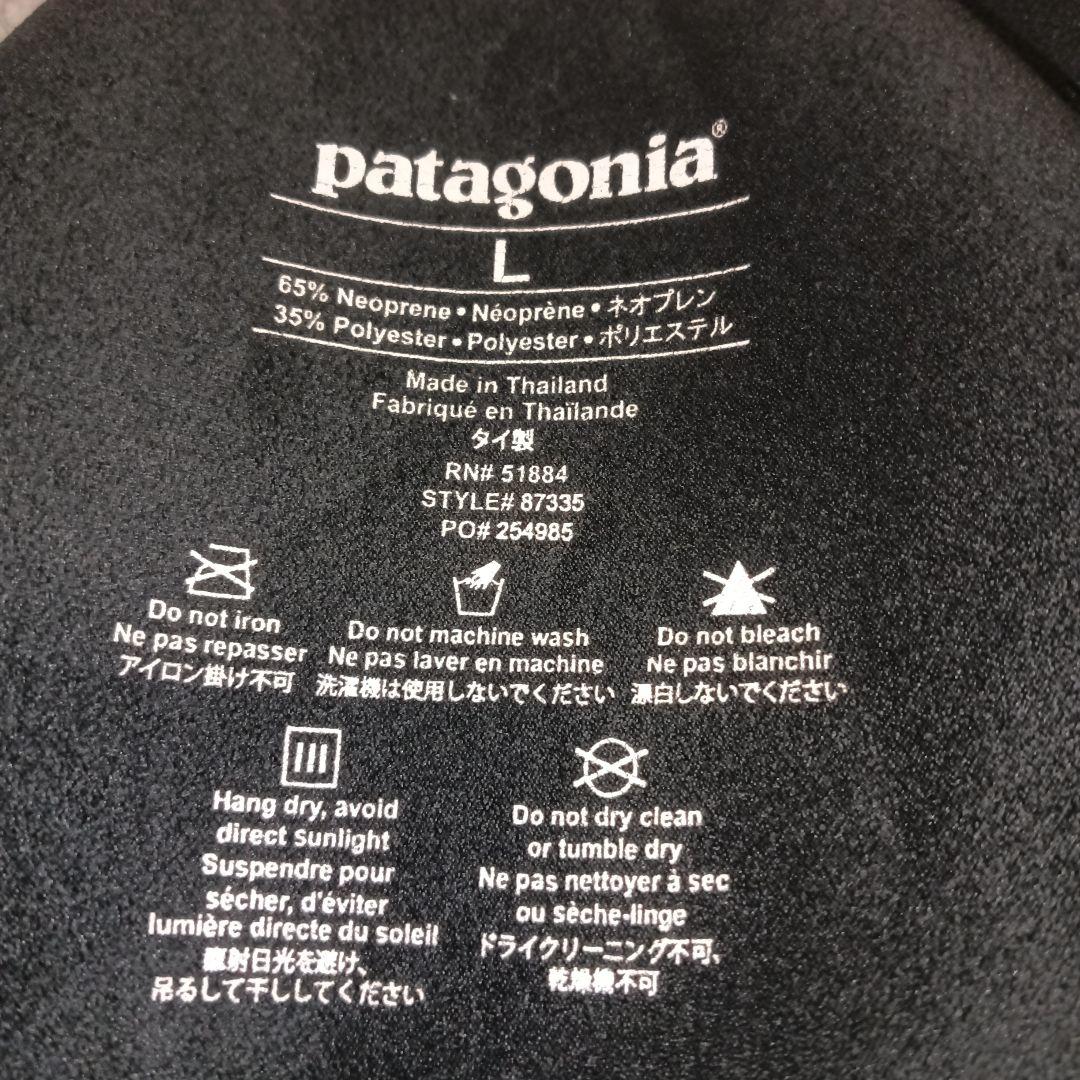 patagonia ロングスリーブタッパー L パタゴニア