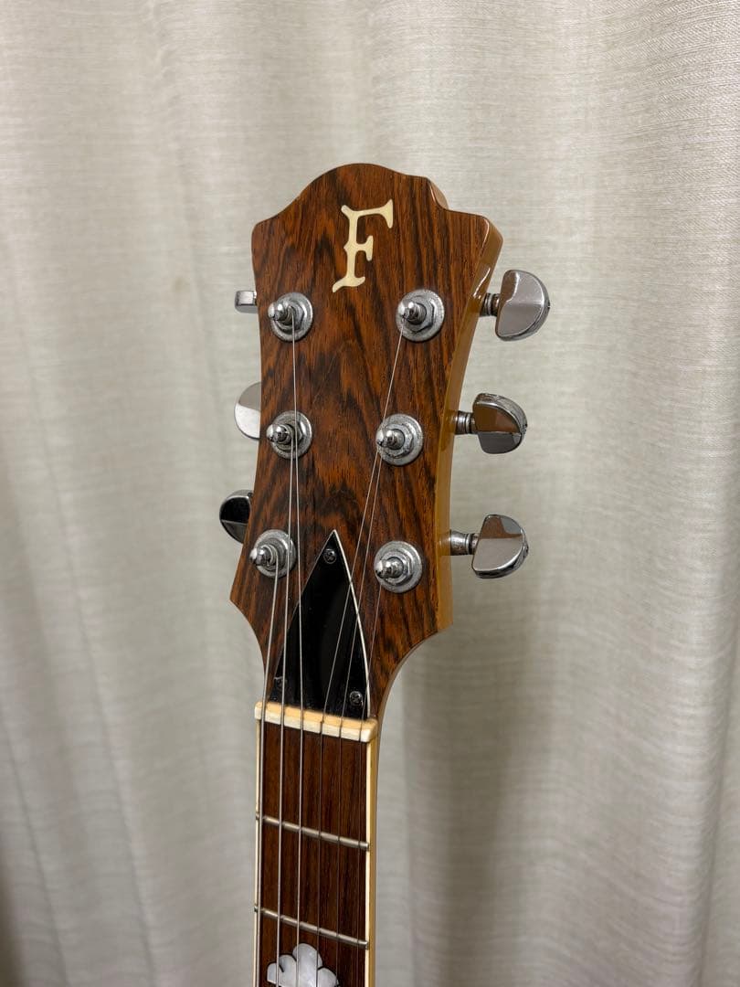 FERNANDES クリスタルモッキンバード アクリルギター hide