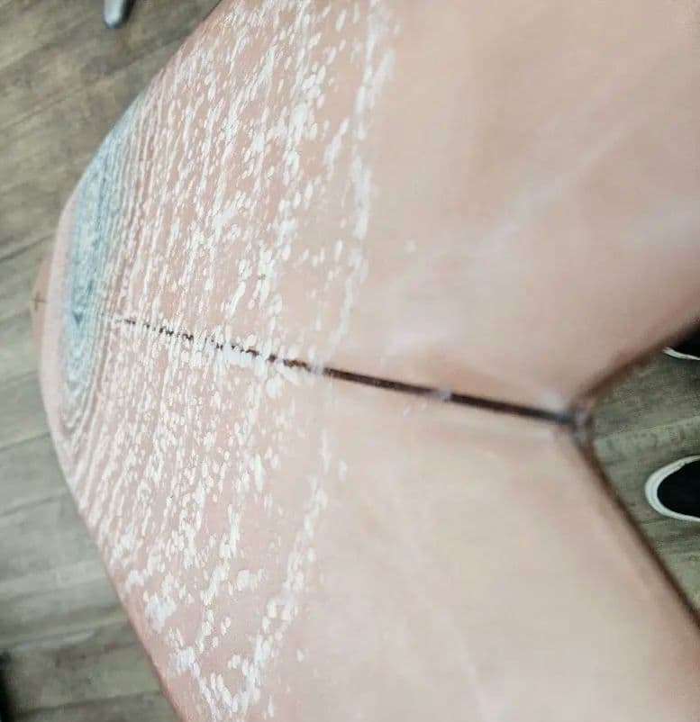 derrick disney 5'5 ツインザー フィッシュウルフライアンバーチ