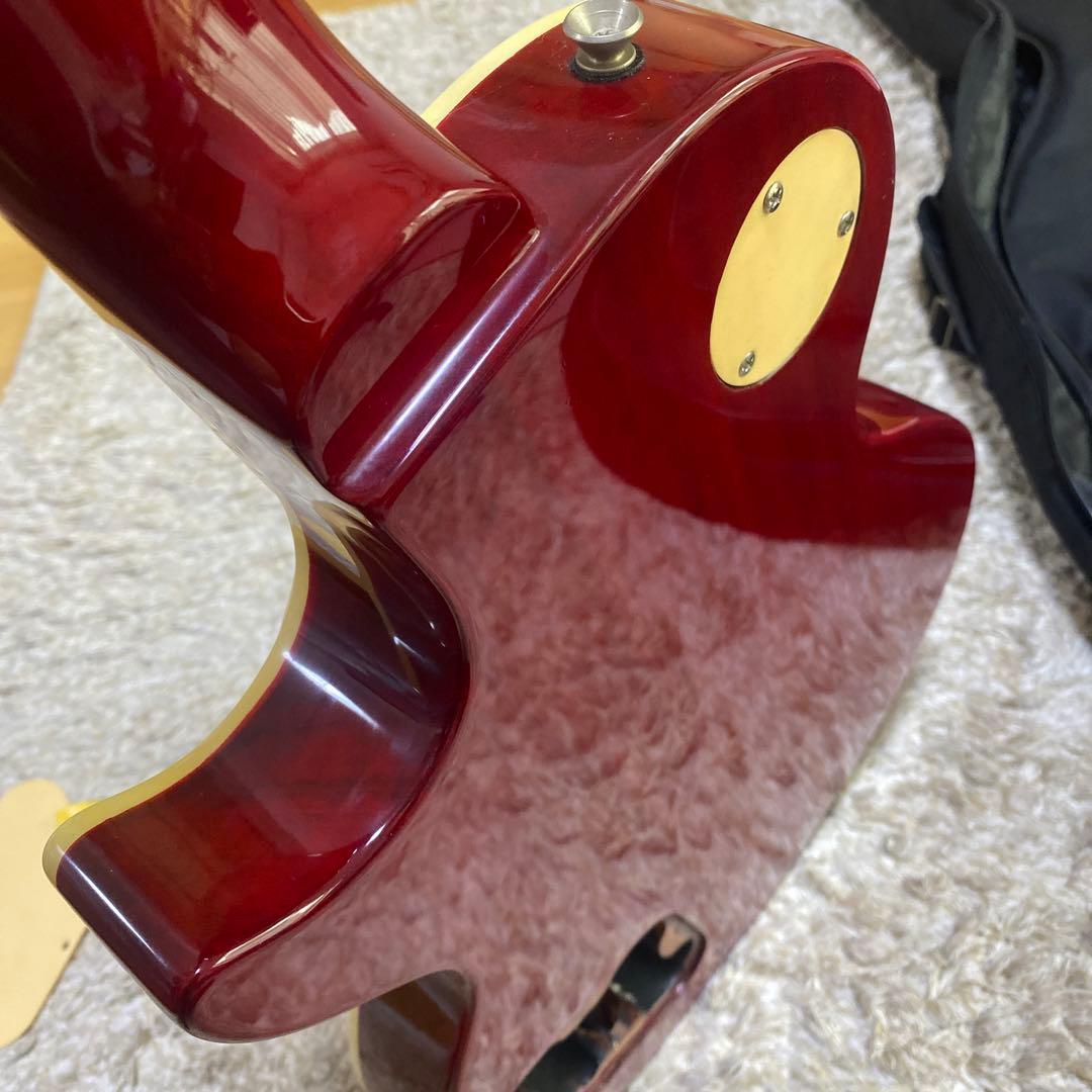 レスポール　エレキギター ハムバッカー　バッカス