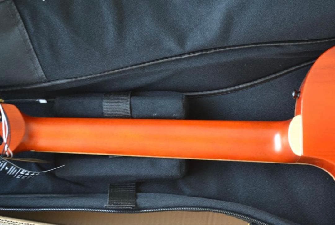 【ほぼ新品】Ortega RTPDLX-FMA TOURPLAYER エレガット