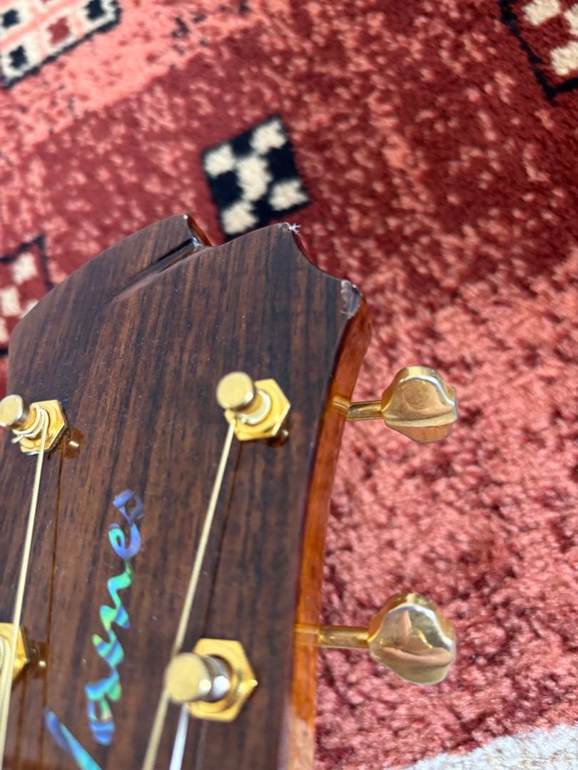 JAMES JD900 NA オール単板ギター