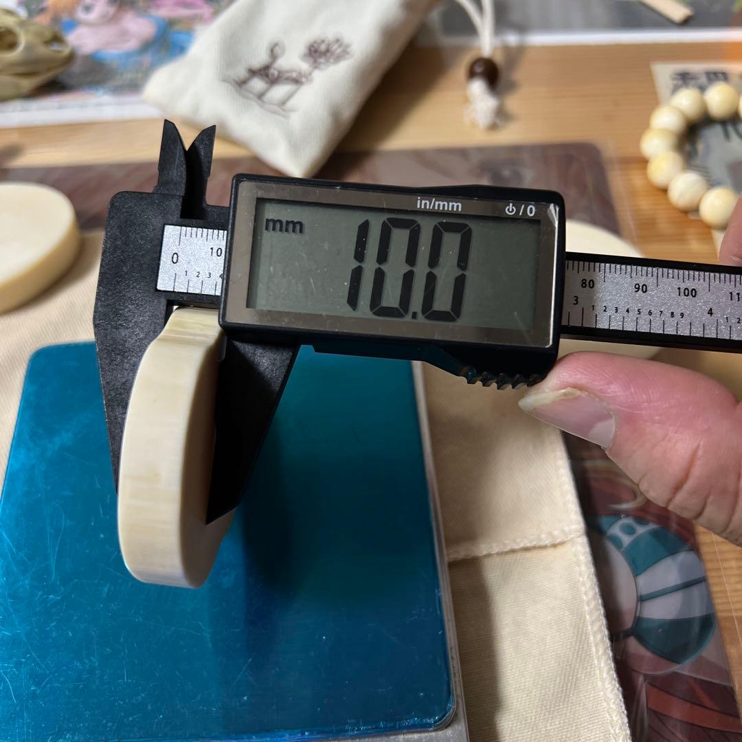 堤げ物 輪切り セイウチ 根付 54g 牙 饅頭