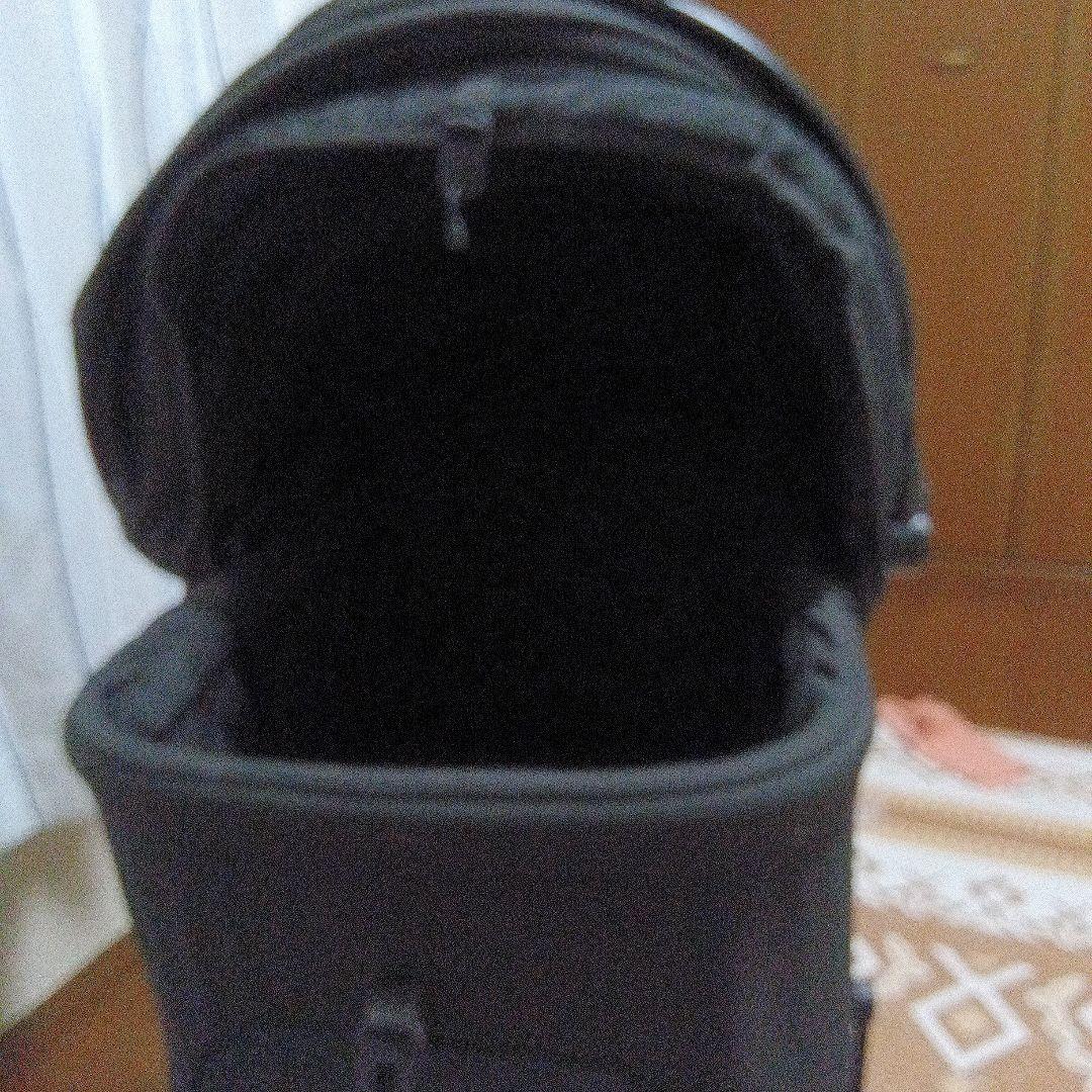 美品 エアバギーAirbuggy Wiz Xペットカート　トゥルーブラック