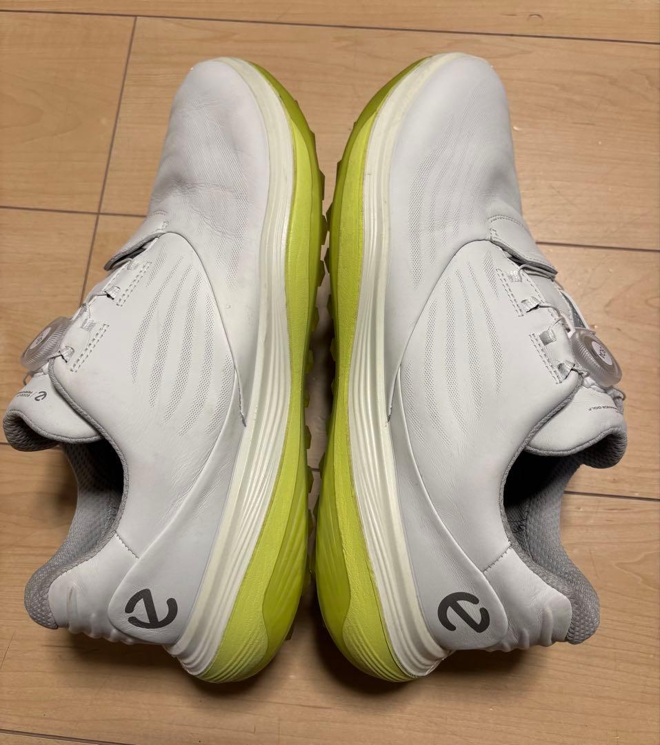 モップヌードル ECCO　M GOLF. LT1. BOA (28.0)