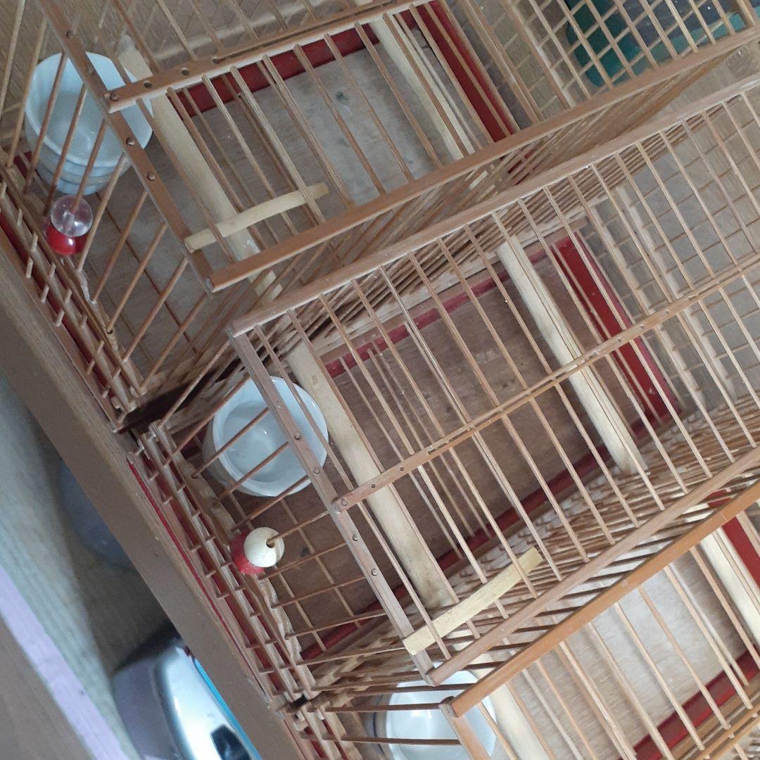 鳥籠４個セット （名札付き）手作籠