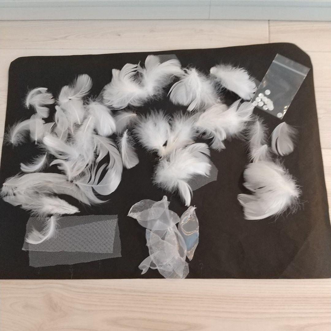 アダージョ チュチュ