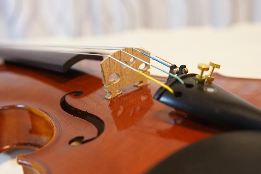 アイラクレム様　ローデリヒ　バイオリン Paesold 804 4/4☆5