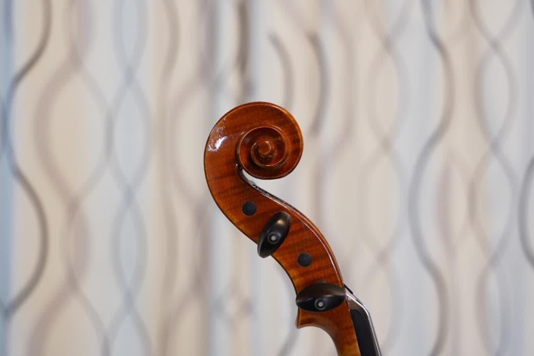 アイラクレム様　ローデリヒ　バイオリン Paesold 804 4/4☆5