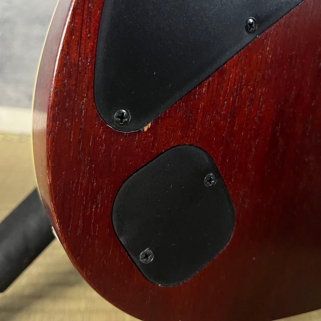 Ibanez RG421HPAM-ABLケース シールド スタンド ピック付き