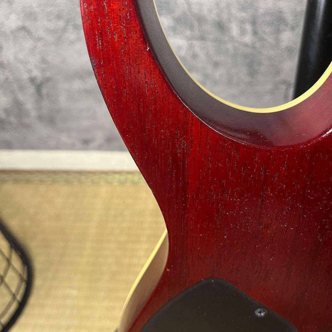 Ibanez RG421HPAM-ABLケース シールド スタンド ピック付き