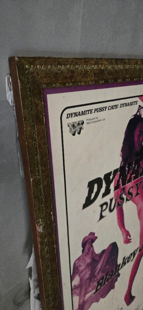 Blankey Jet City ポスター 大判B1サイズ　カスタムメイド額縁付