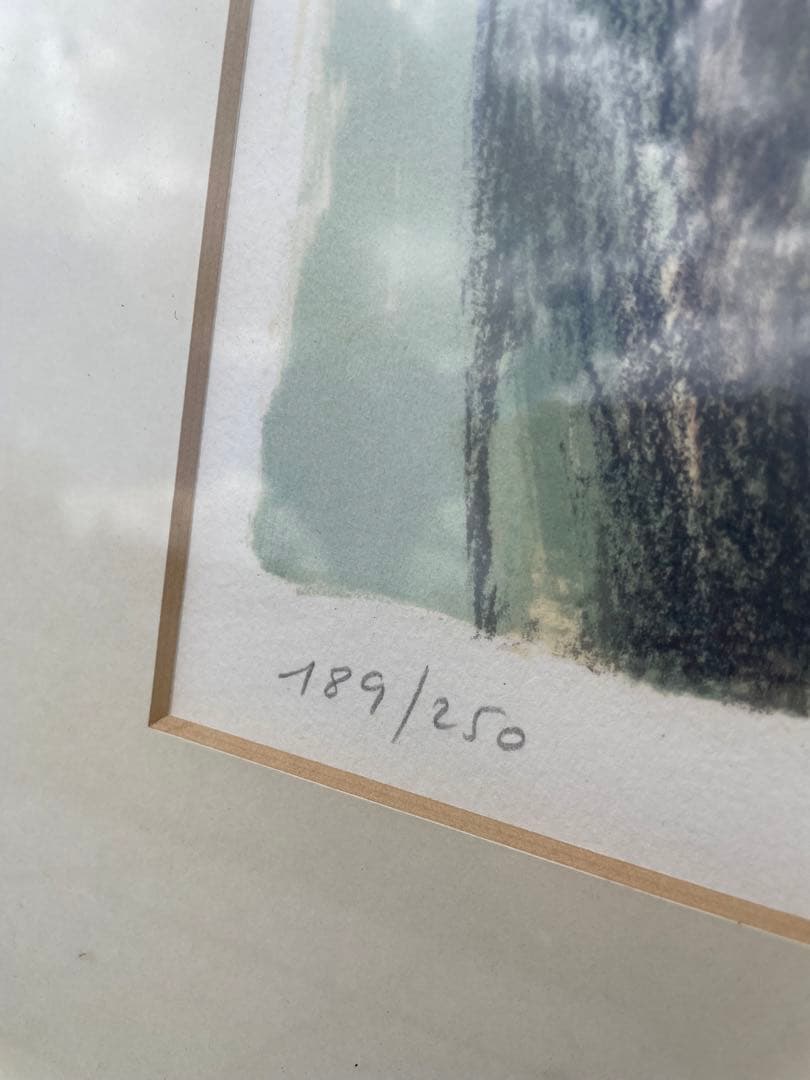 x*0様 カシニョール白いチューリップ 189/250