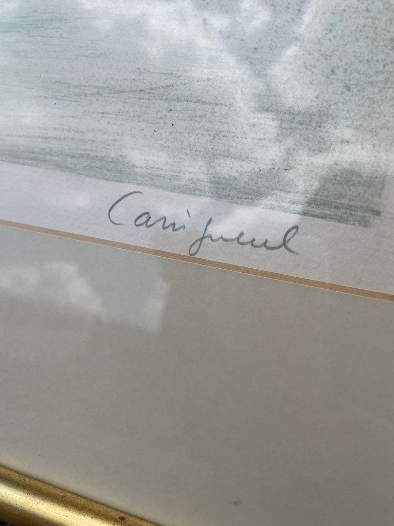 x*0様 カシニョール白いチューリップ 189/250