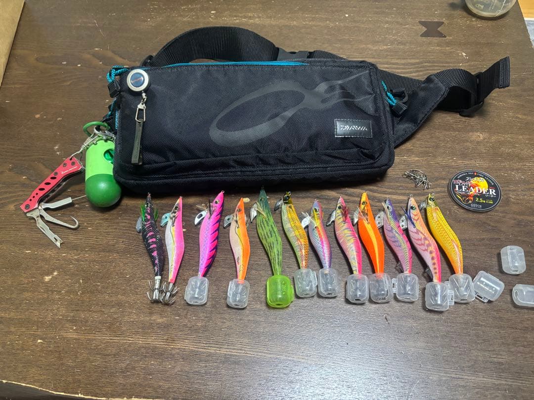 ダイワ(DAIWA) エギング エメラルダス エギキャリー　バッグ　まとめ売り
