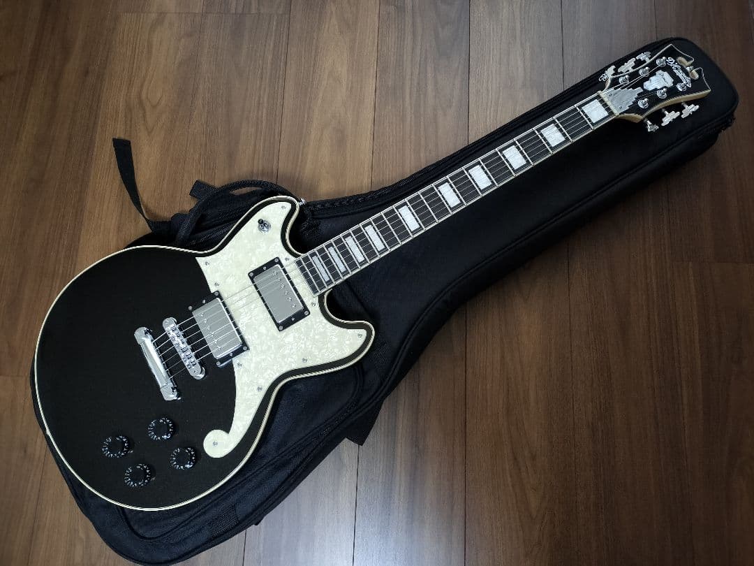 ほぼ未使用 D'angelico Premier Brighton Mod