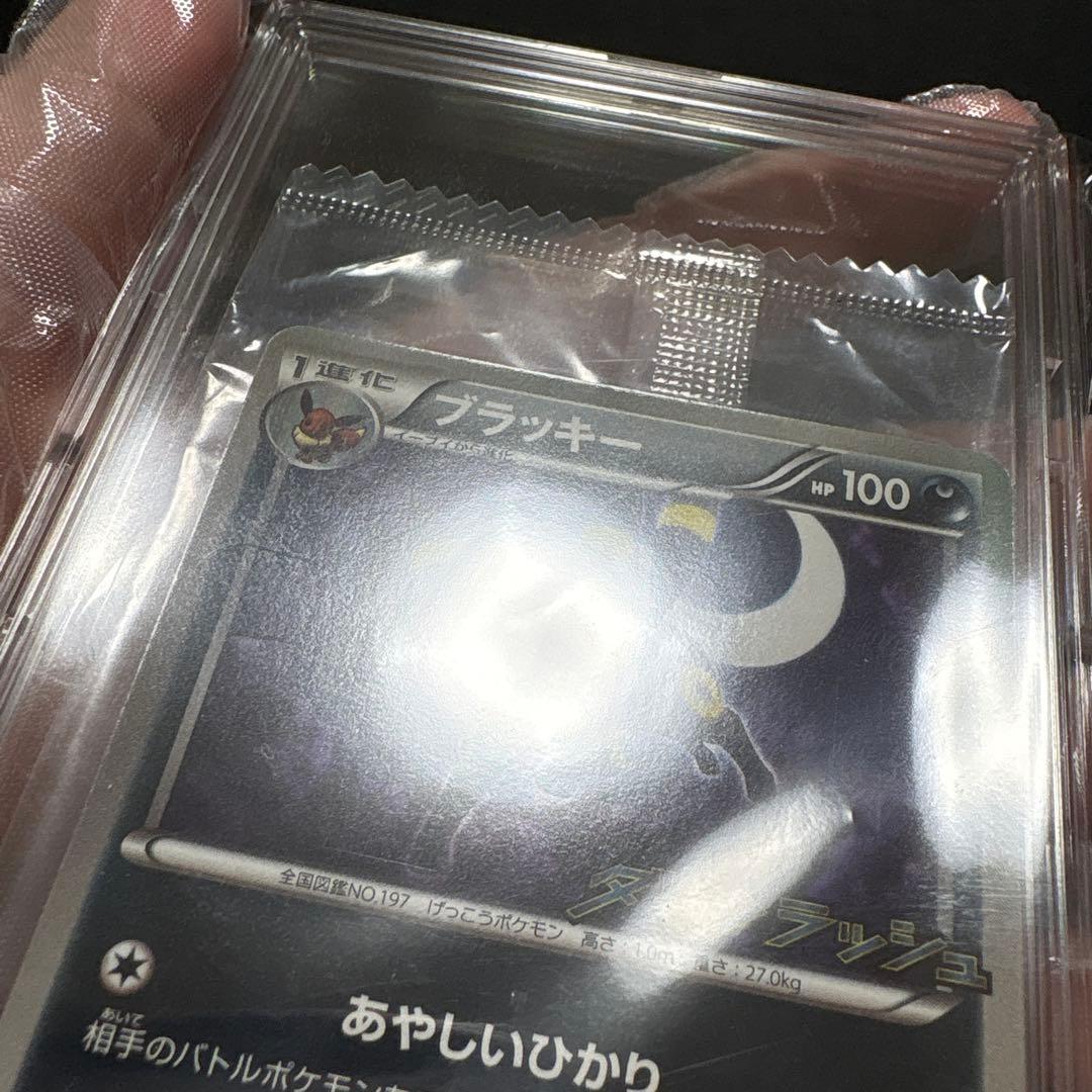 ブラッキー ダークラッシュ プロモ 未開封