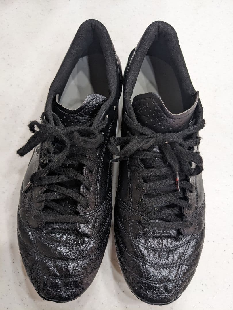 【25.0】asics DSライトx-fly4 JAPANブラック