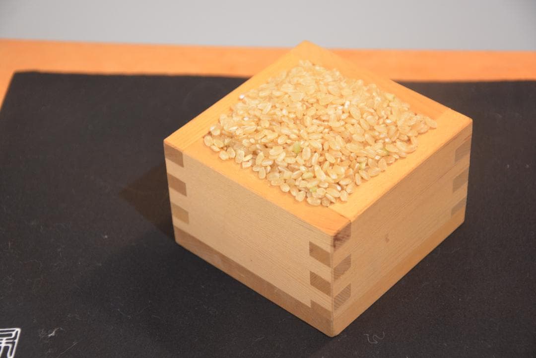 イセヒカリ10kg玄米　たけ爺ブランド栽培期間中無化学肥料・栽培期間中無農薬栽培