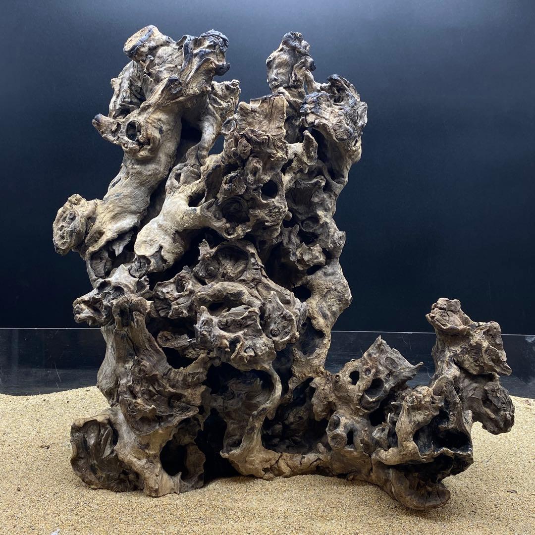 MJW-6617 ジンジャーウッド　天然流木　アクアリウム　爬虫類