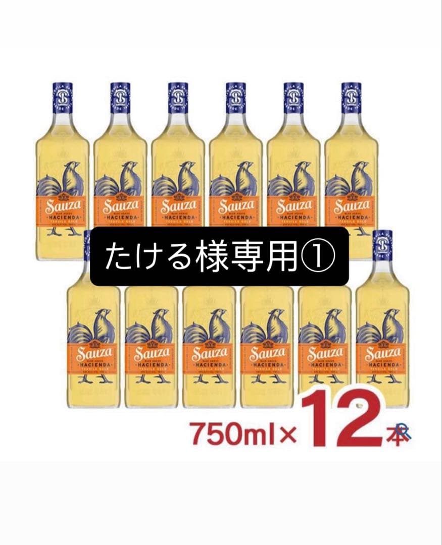 たける　サウザ1ケース①